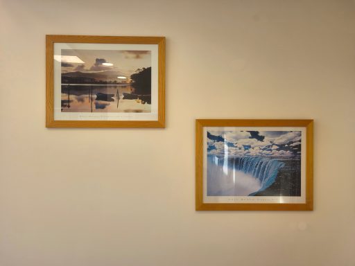 A photo of two pieces of art work on the wall of the boardroom.