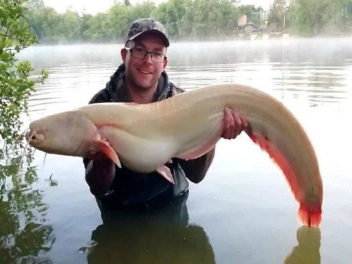 A photo of a fisherman smiling and holding a white catfish