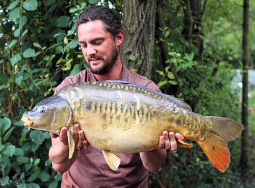 A photo of a fisherman holding up his catch of a large mirror carp.