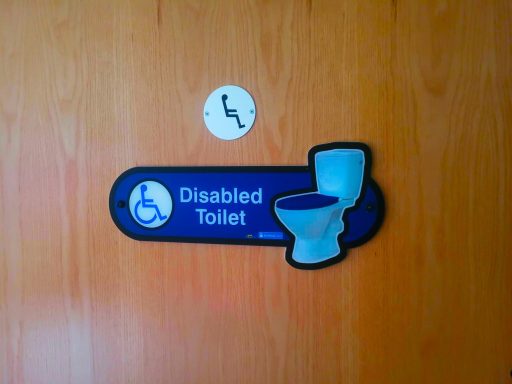 A close up photo of a disabled toilet sign on a wooden door.