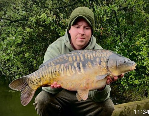 A man holding a mirror carp after catching it at a lake.