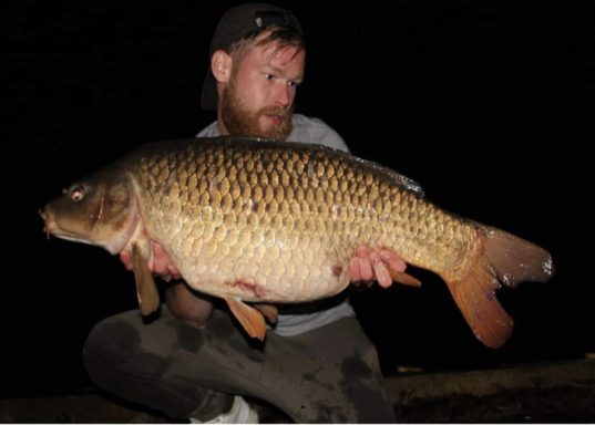 A fisherman holding a large common carp.