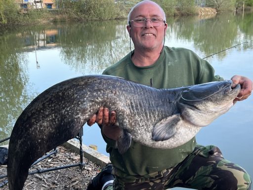 A photo of a man holding a catfish.