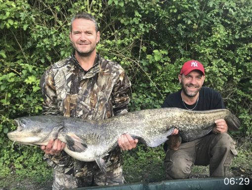 A photo of two fishermen both holding up a large catfish